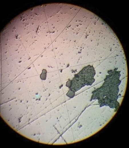 Bornite