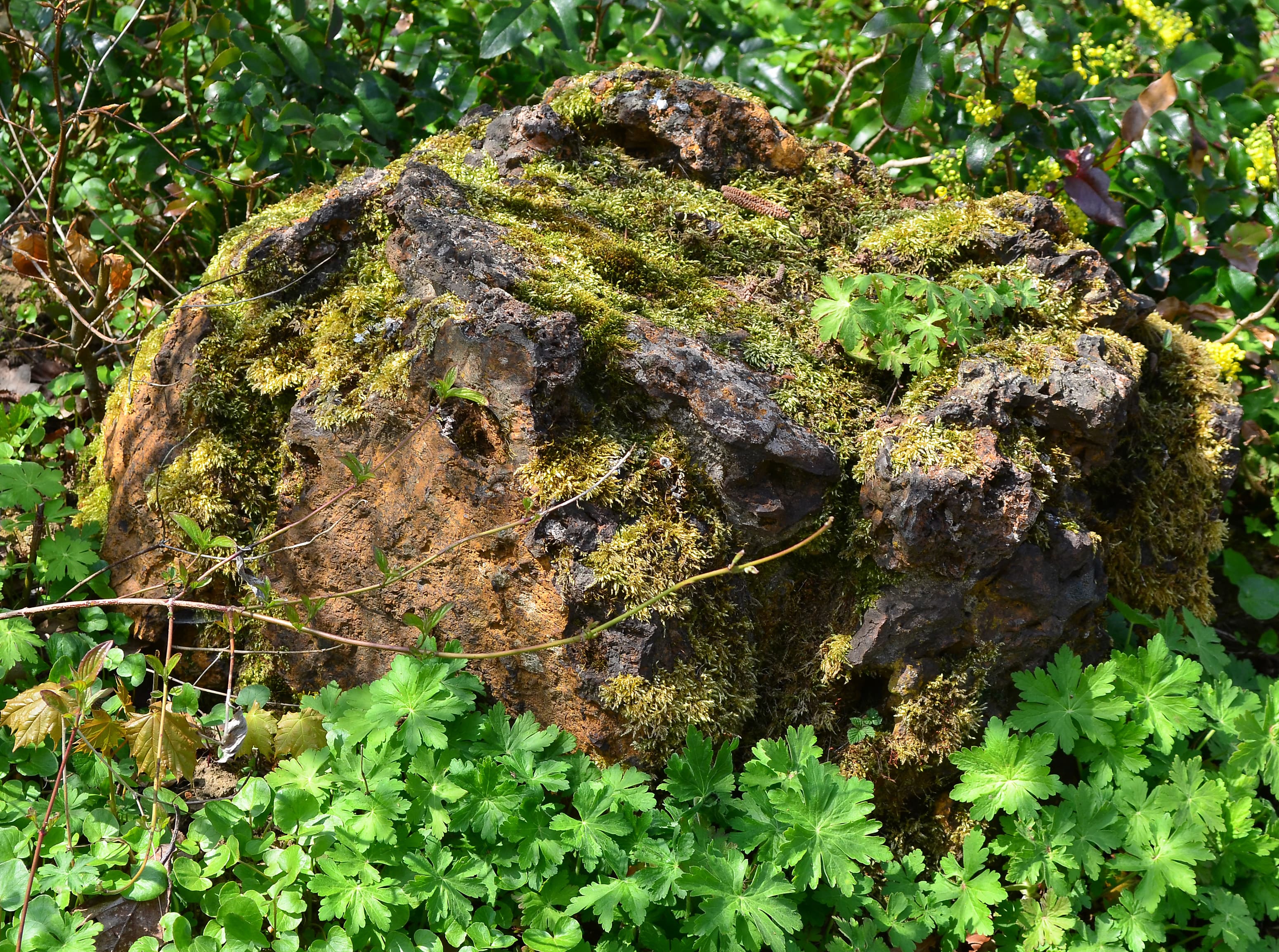 Limonite