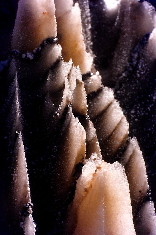 Sylvite
