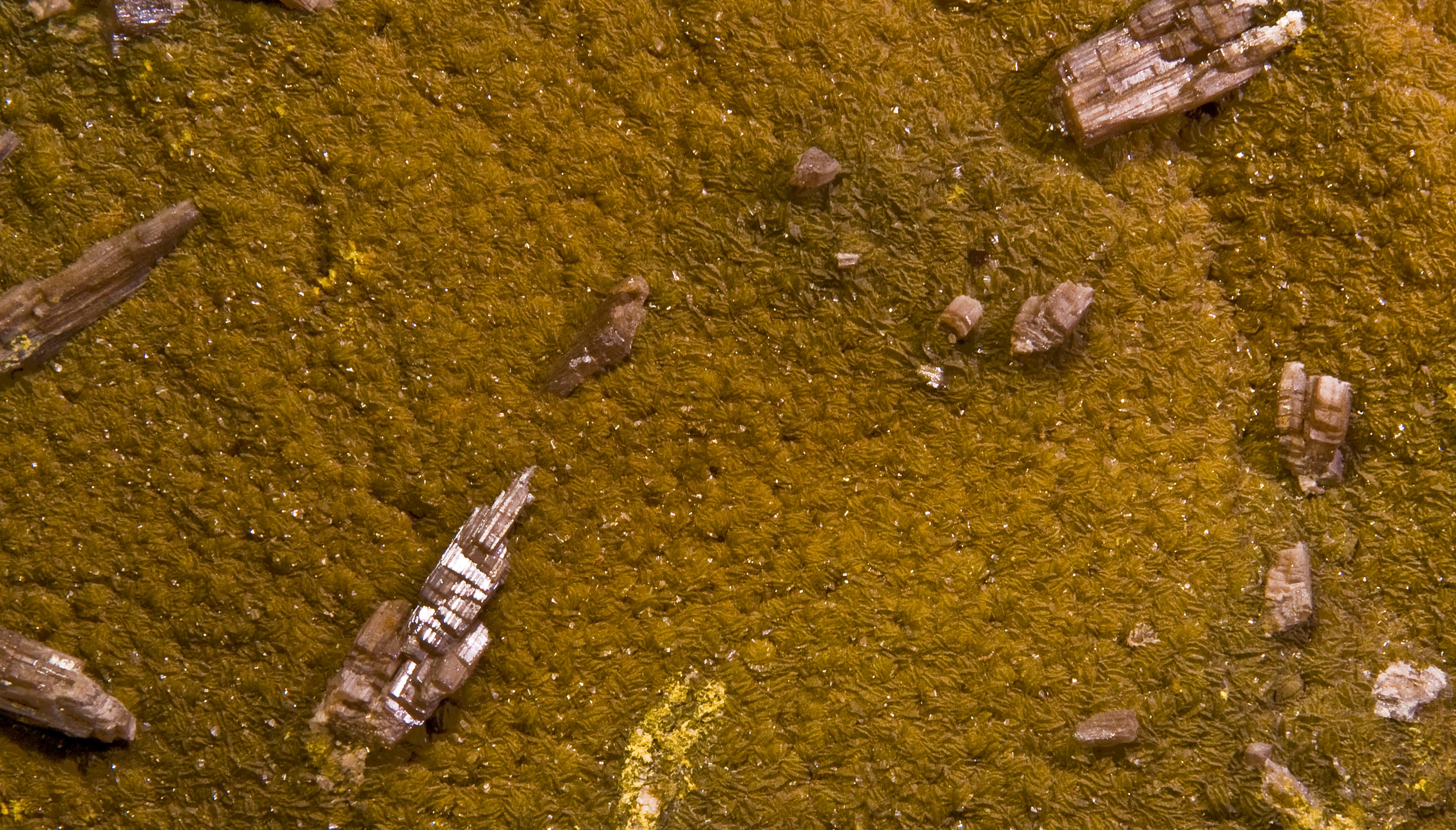 Chervetite