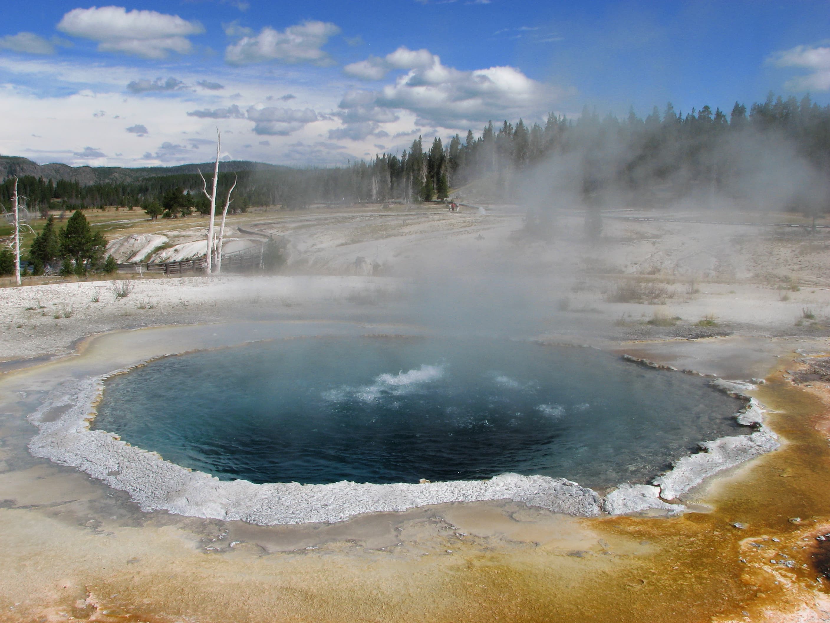 Siliceous Sinter