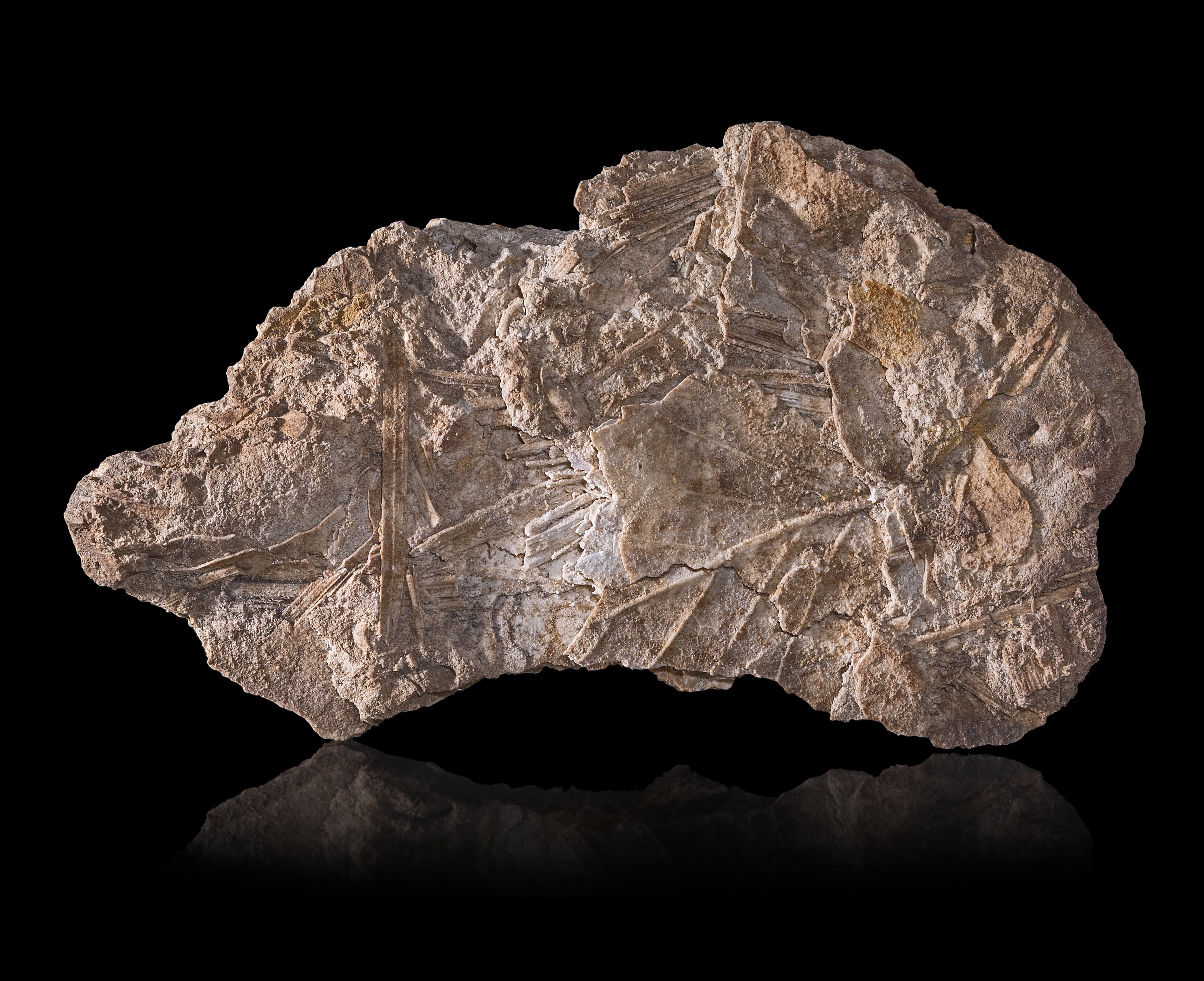 Geyserite