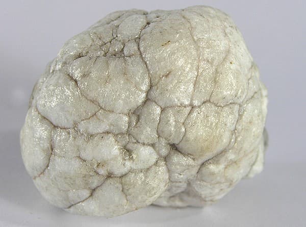Howlite