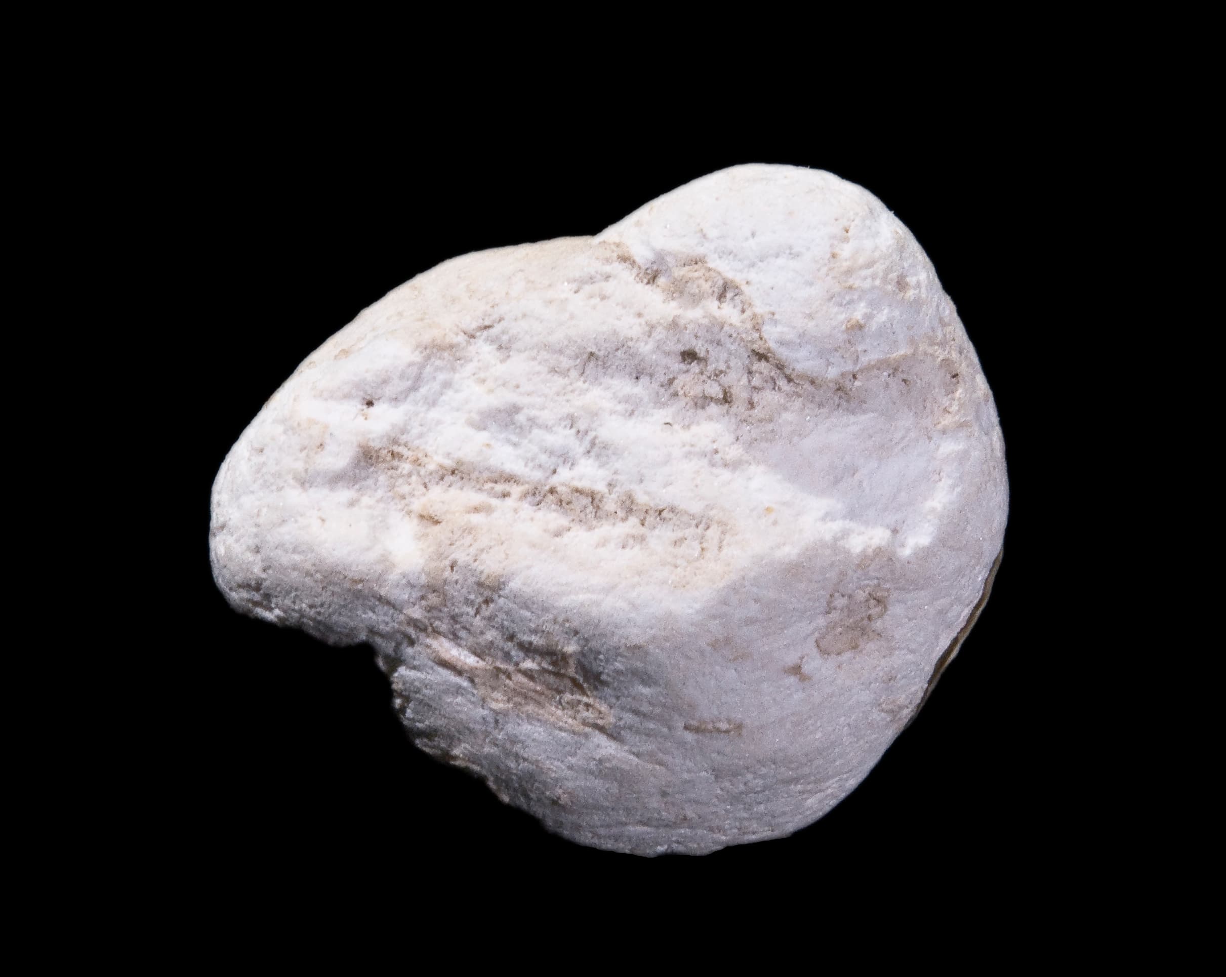 Opal (Neslite variety)