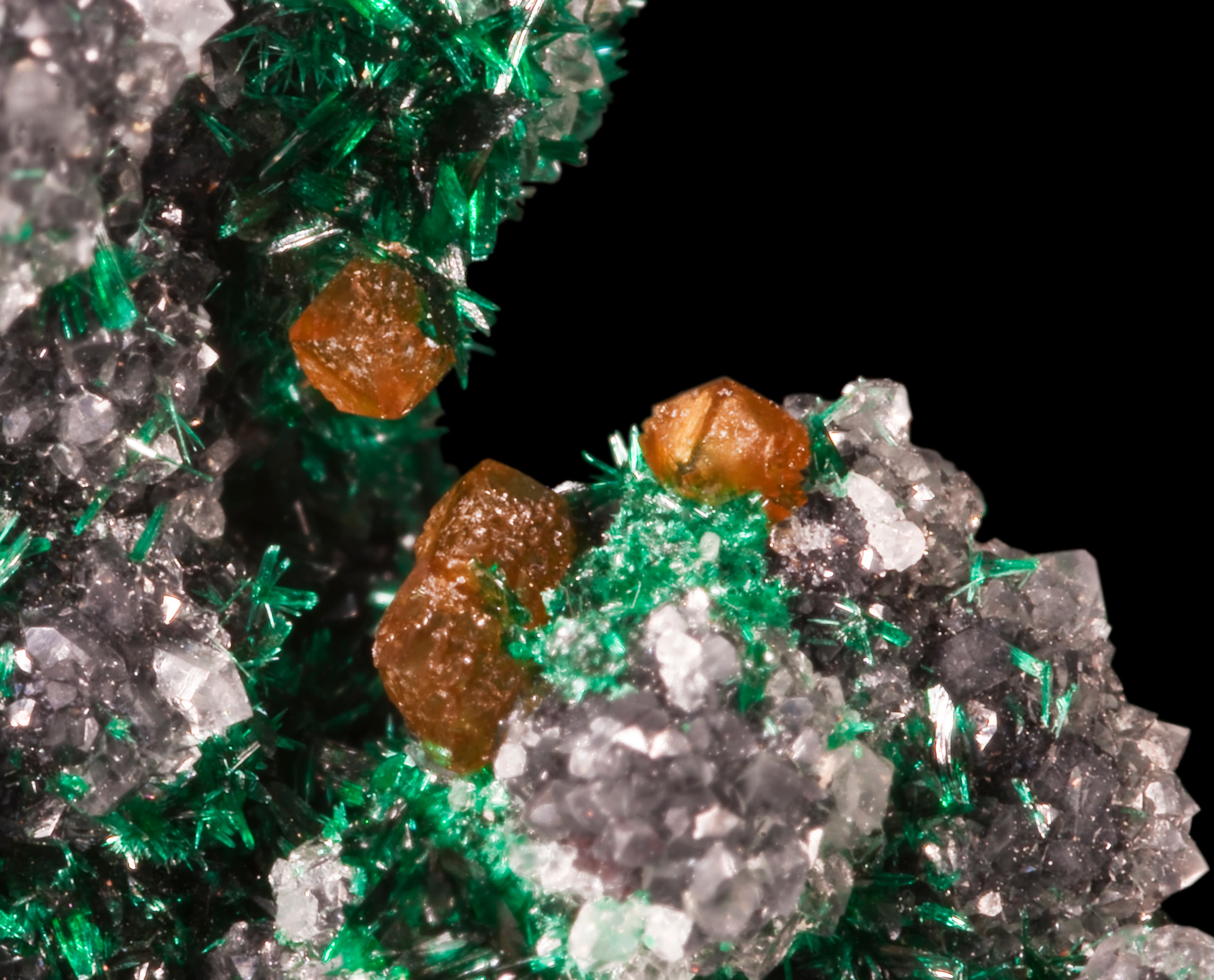 Powellite