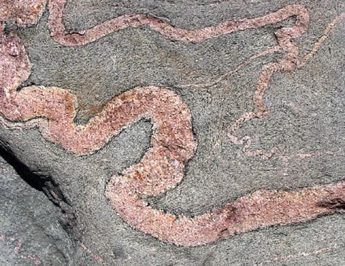 Migmatite
