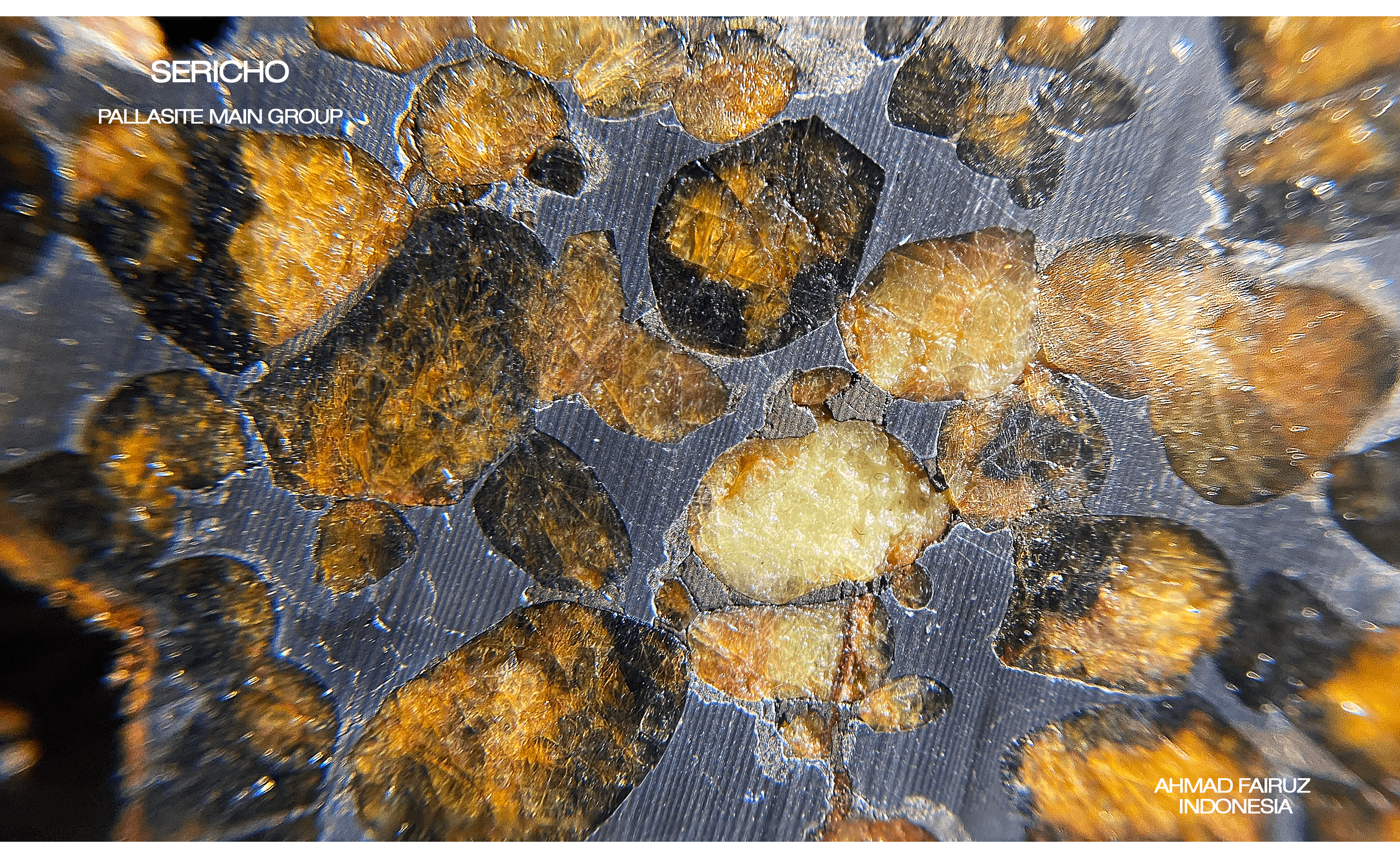 Sericho Pallasite