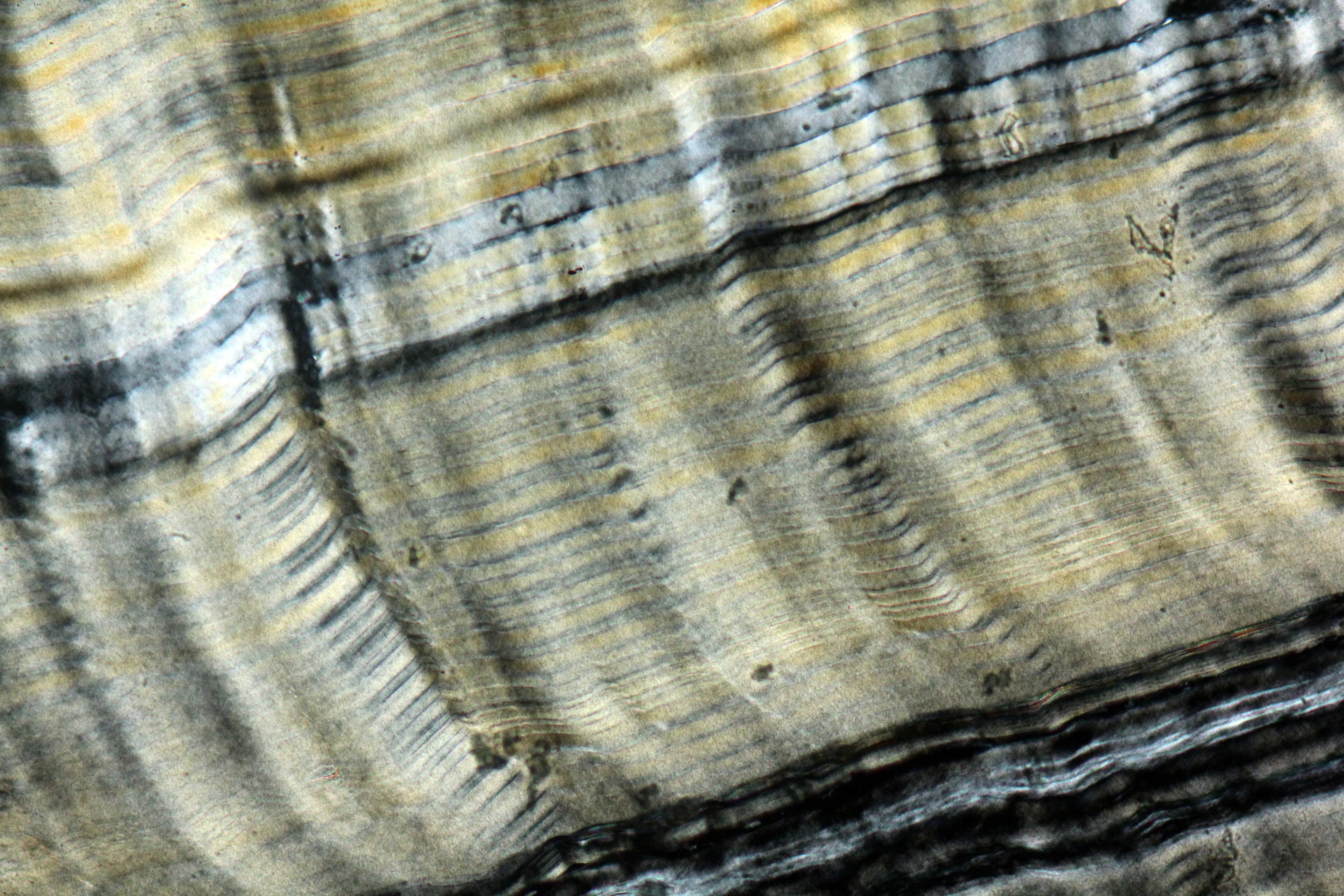 Serpentinite
