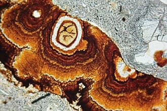 Goethite