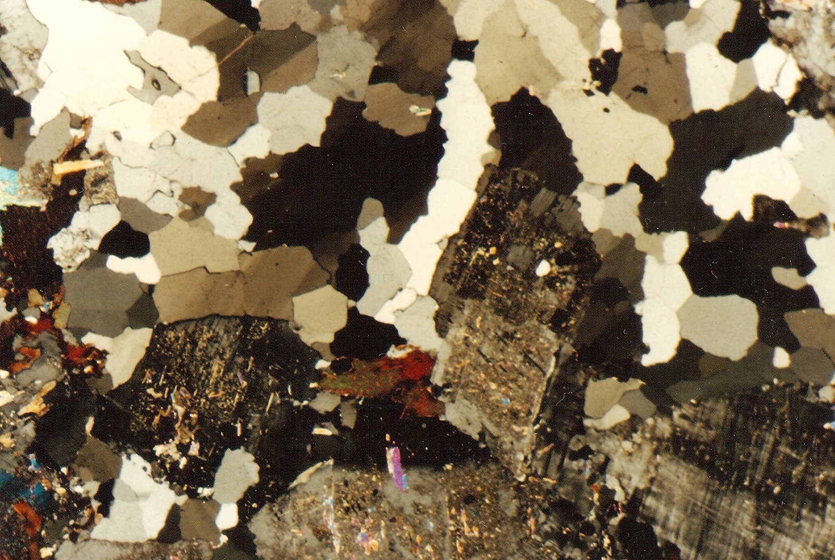 Rock Microsection (Unspecified)