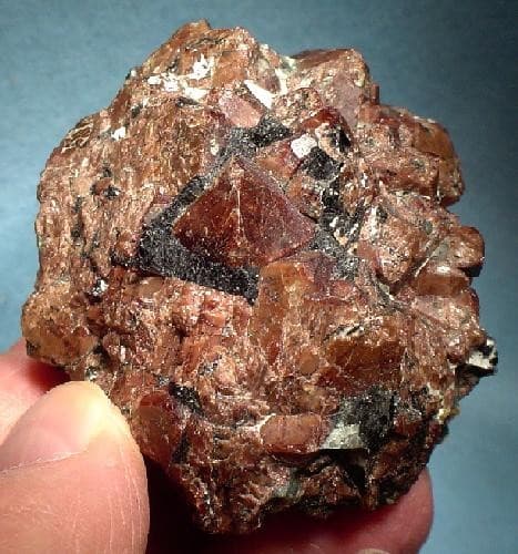 Eudialyte