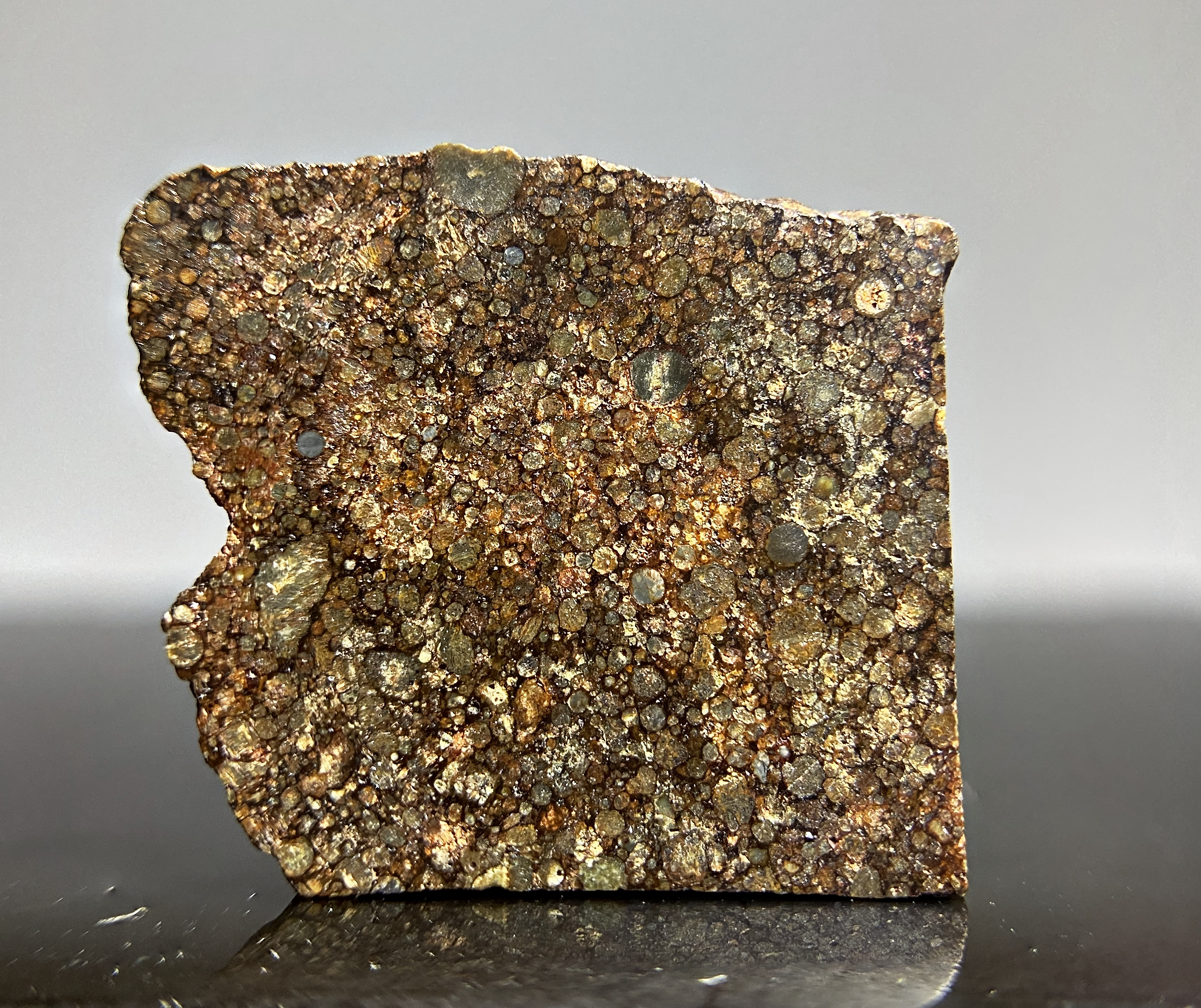 LL3 Ordinary Chondrite (NWA 10499)
