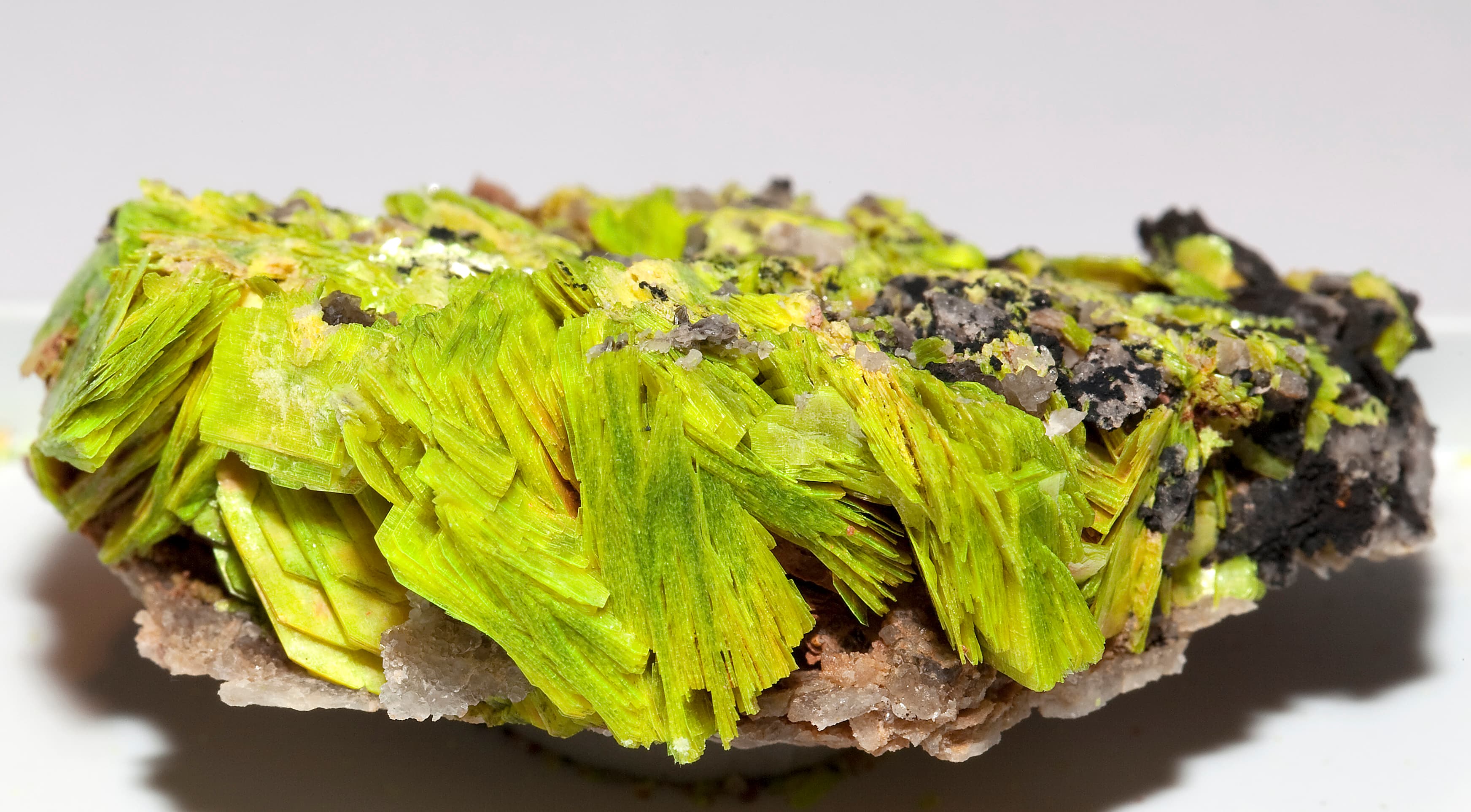 Autunite