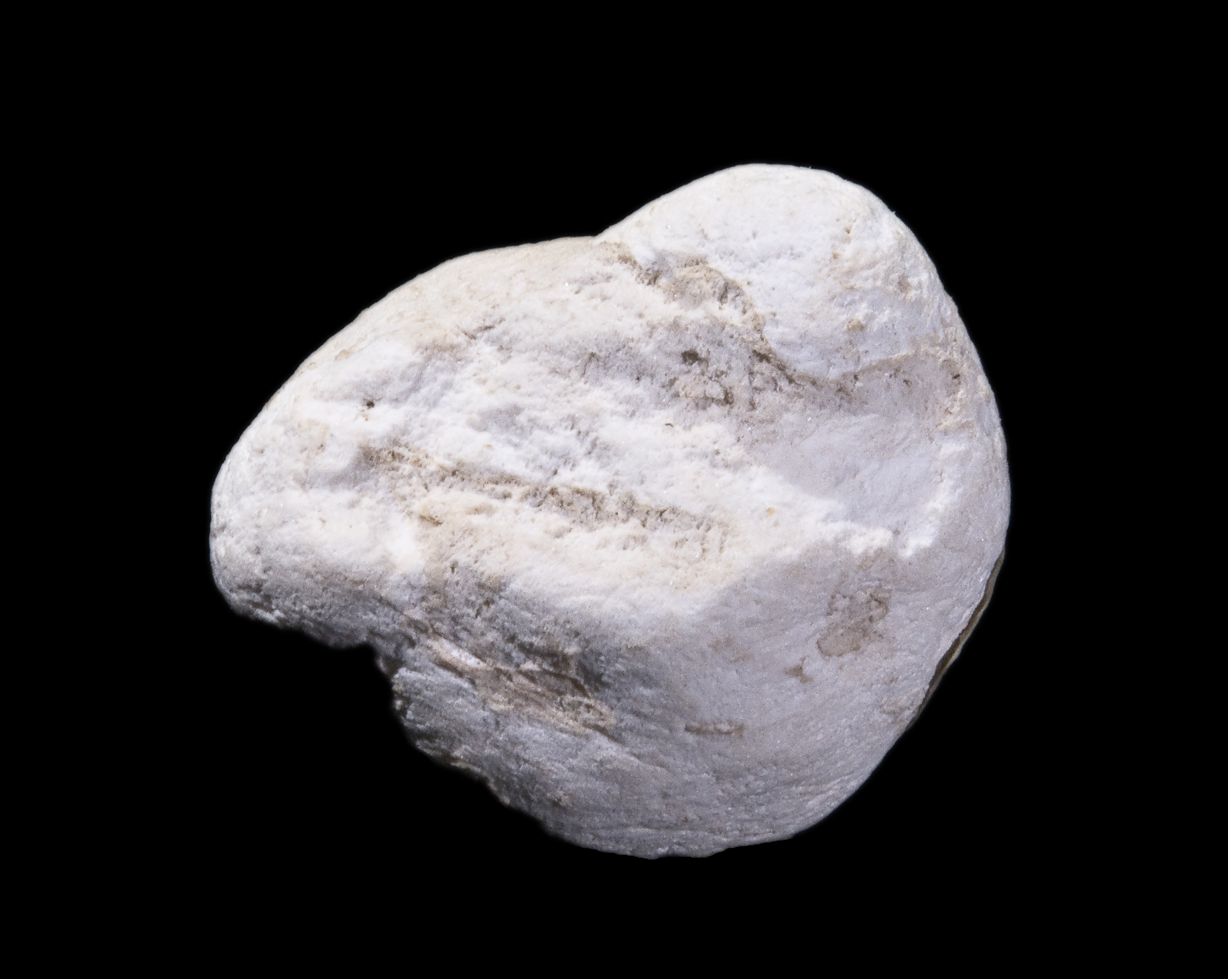 Opal (Neslite variety)