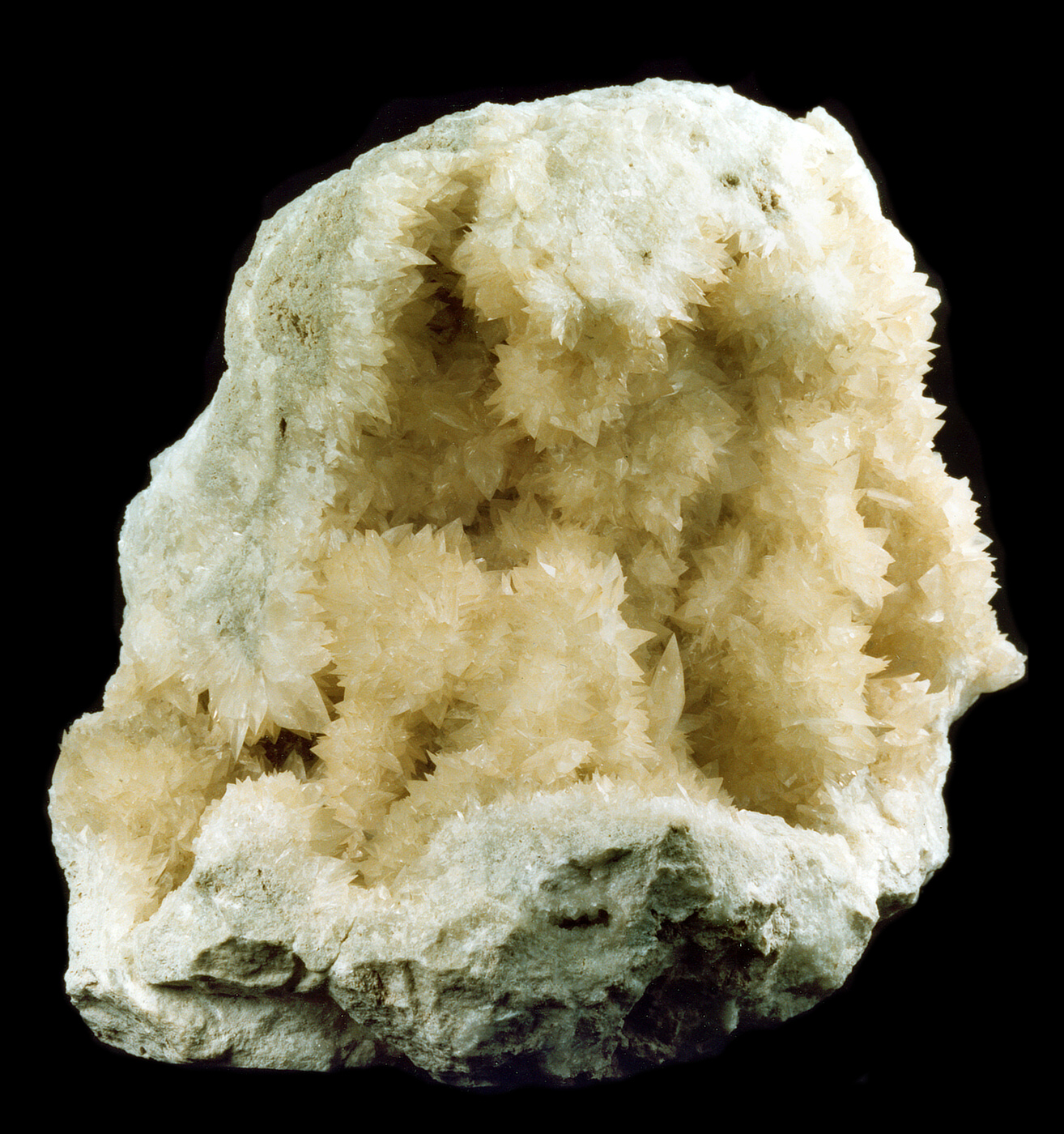 Colemanite