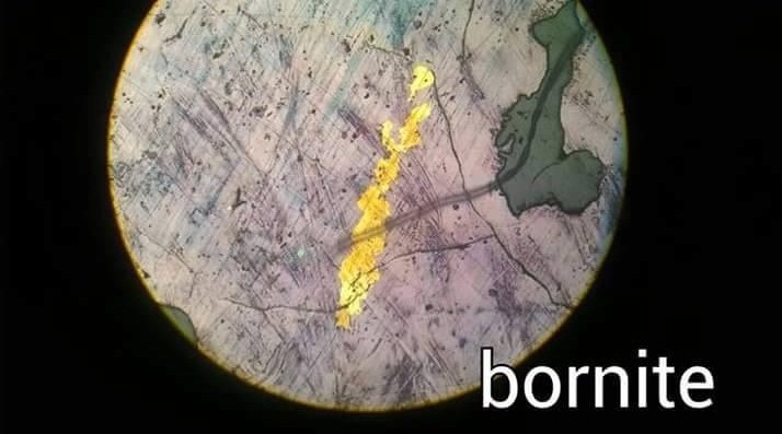 Bornite
