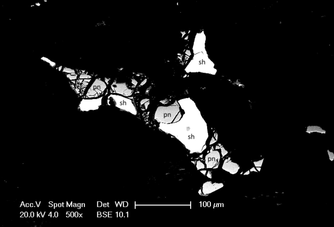 Shandite, Pentlandite, and Lizardite