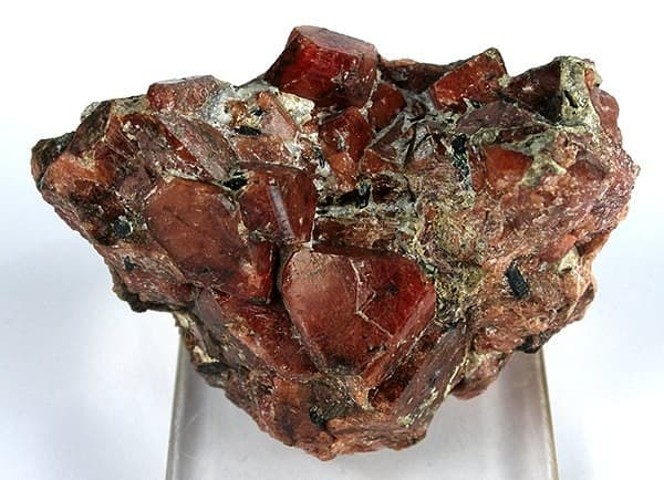Eudialyte