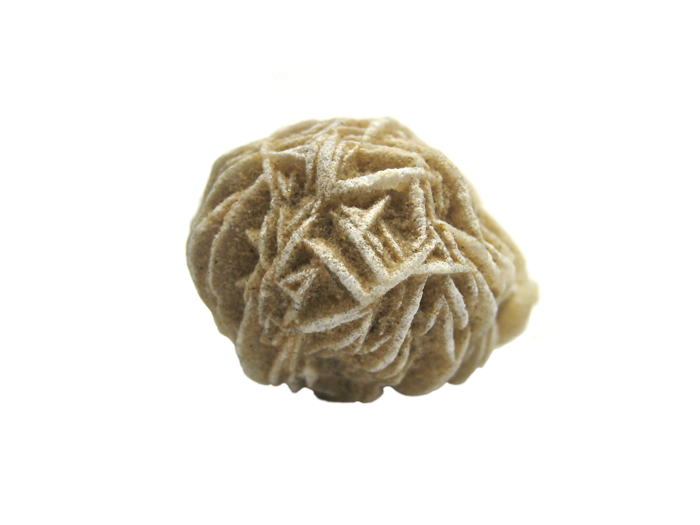Desert Rose (Barite)