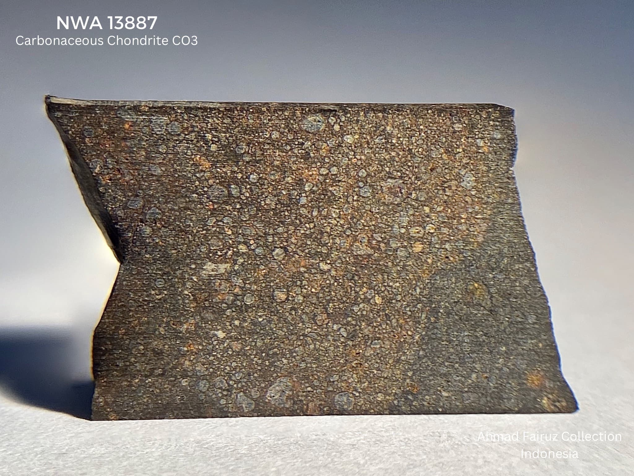 NWA 13887 Carbonaceous Chondrite CO3