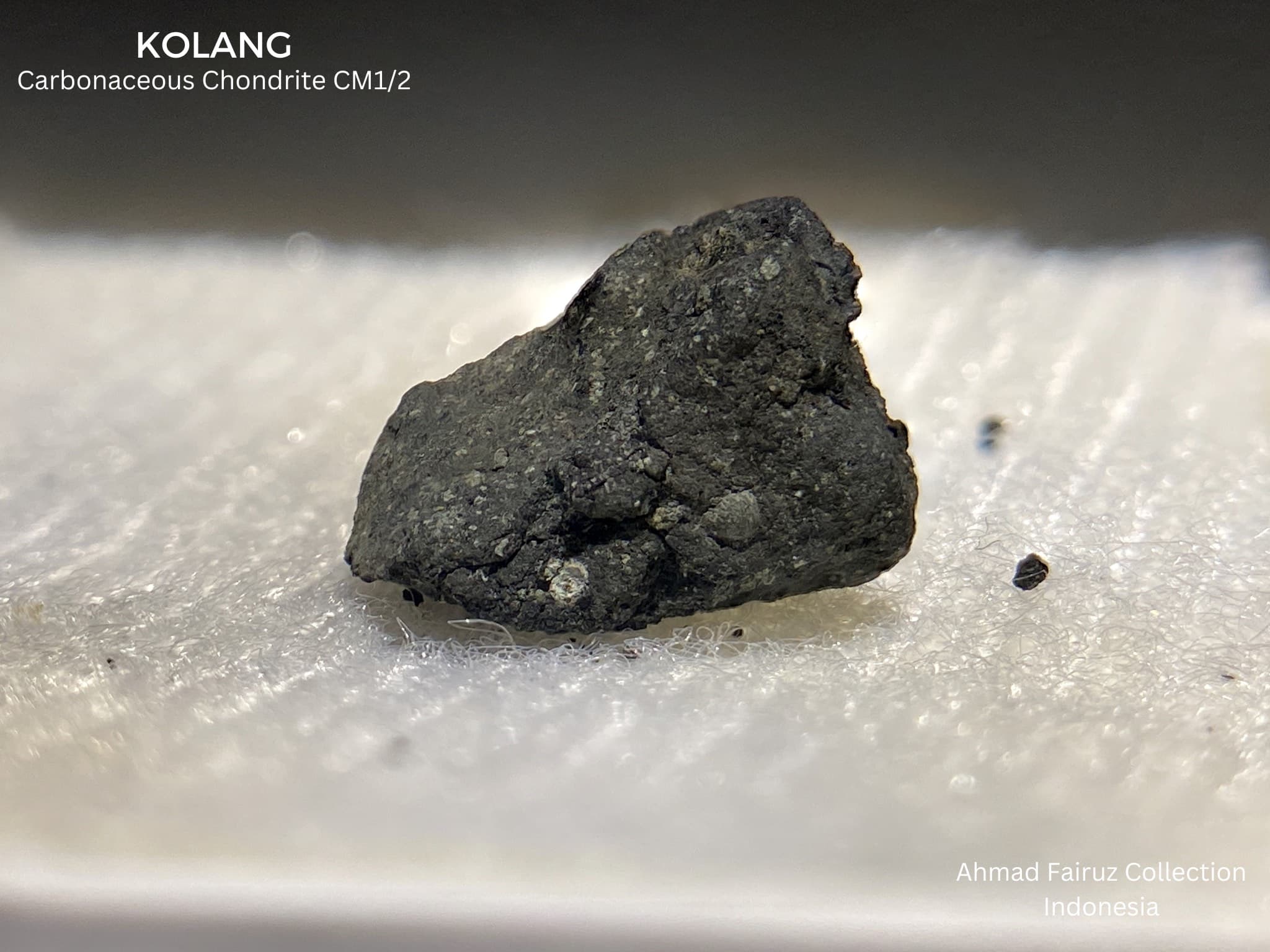 Kolang Carbonaceous Chondrite CM1/2