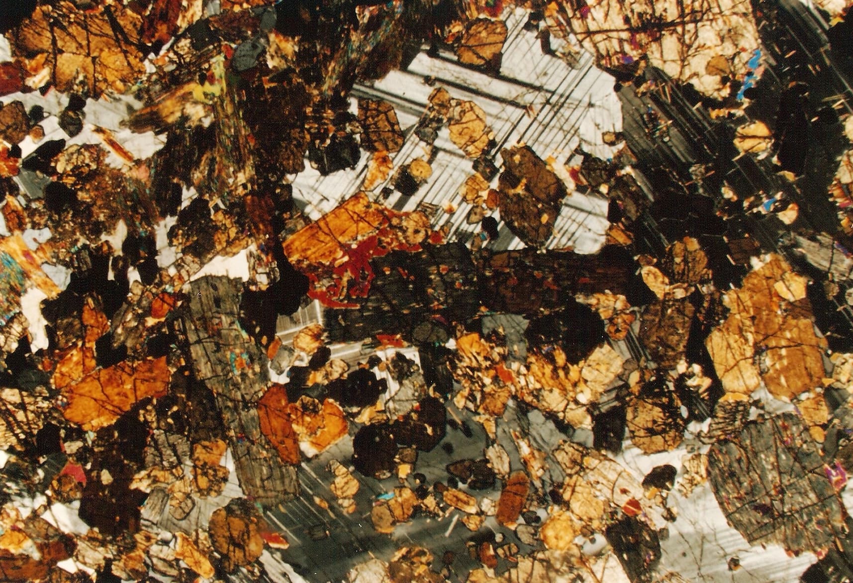 Igneous Rock Microsection