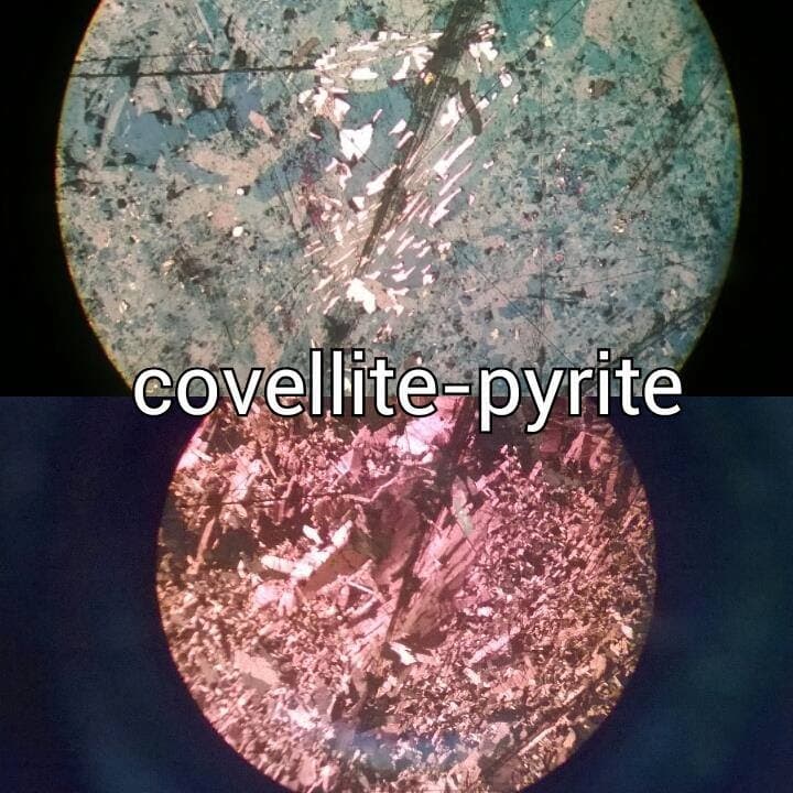 Covellite and Pyrite