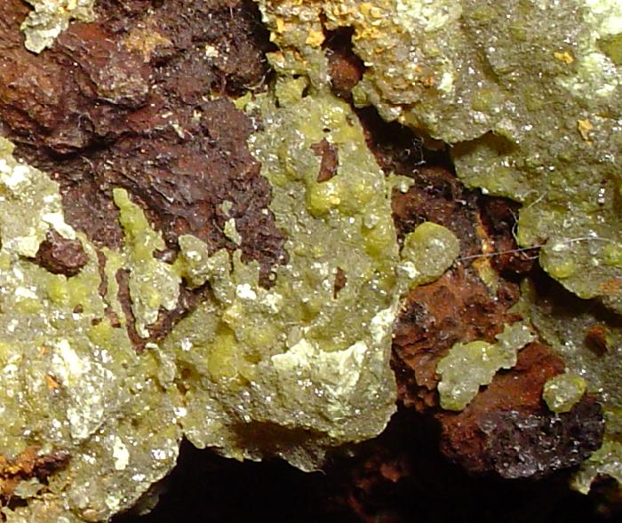 Iodargyrite