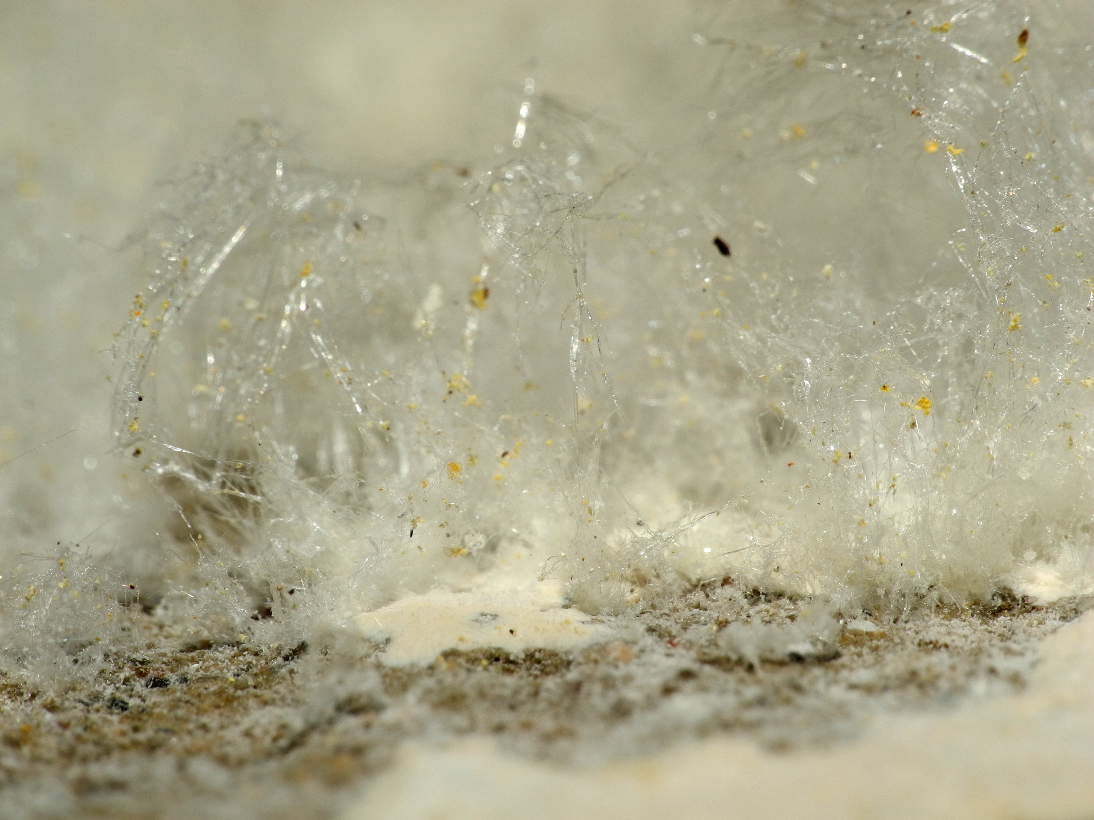 Salpetre (Potassium Nitrate)