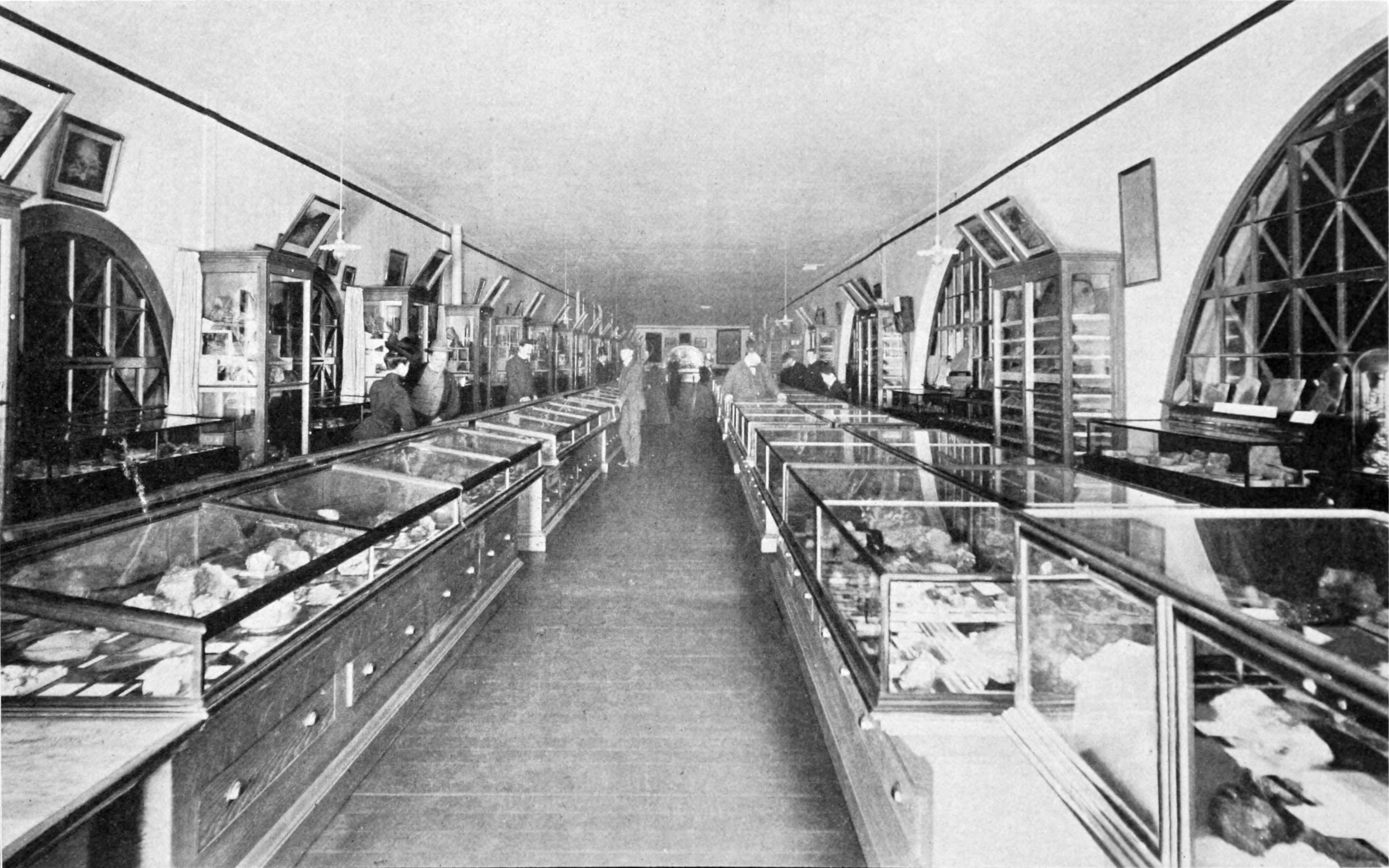 Mineral Collection (Museum of the California State Mining Bureau)