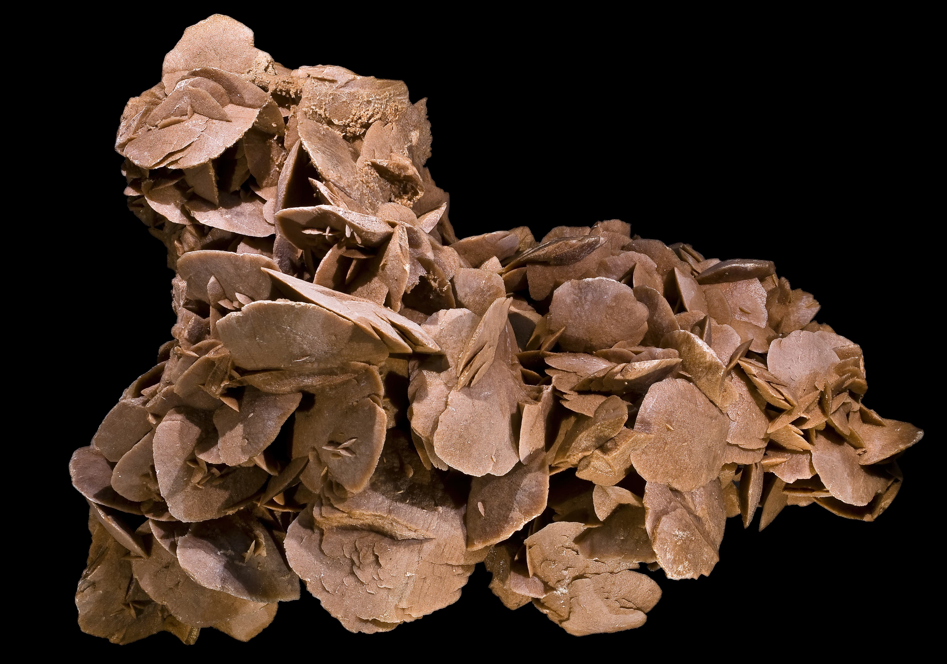 Desert Rose (Gypsum)
