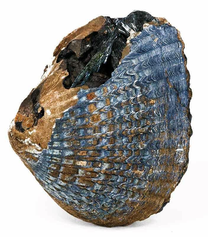 Vivianite
