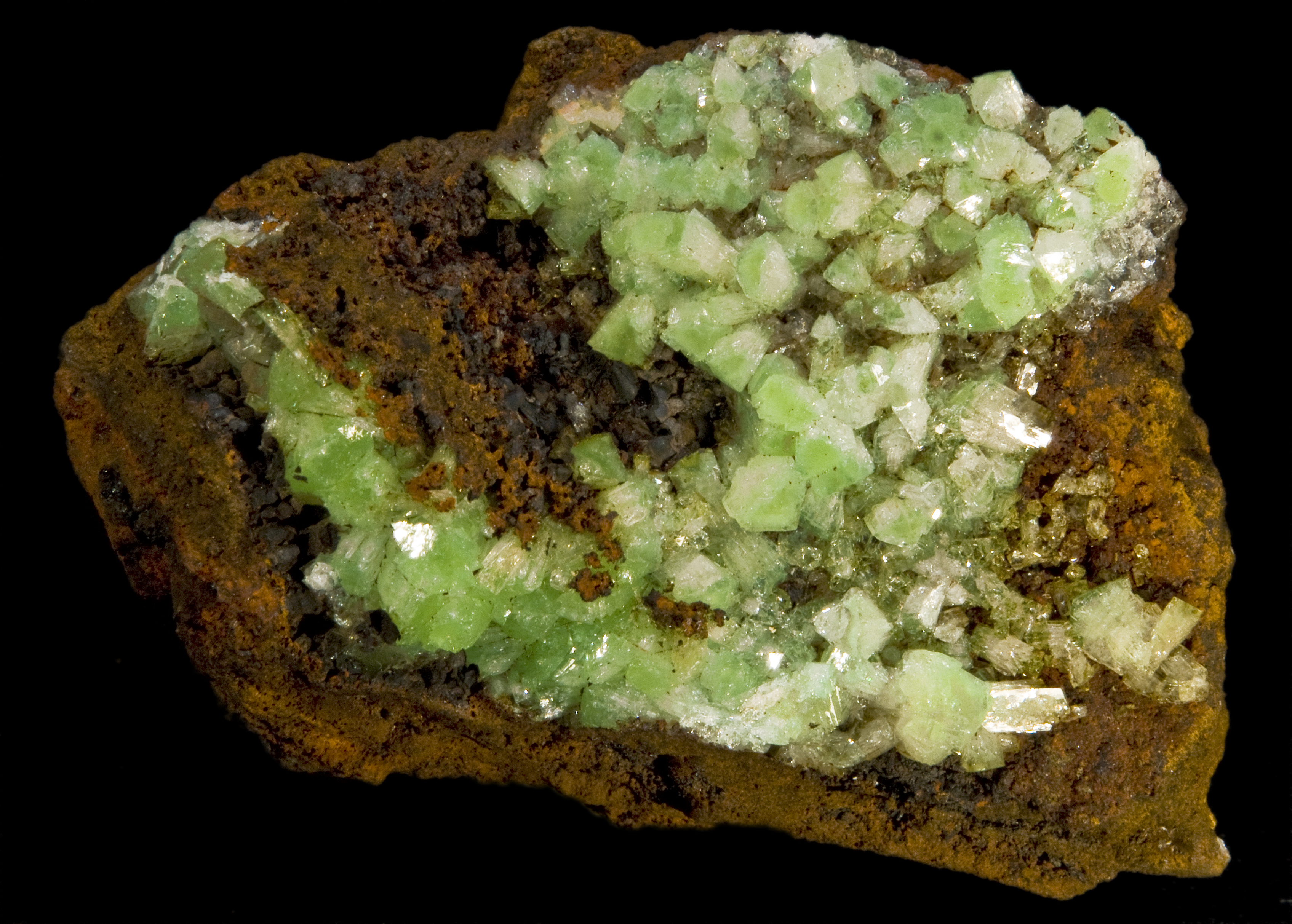 Cuprian Adamite