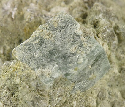 Boracite