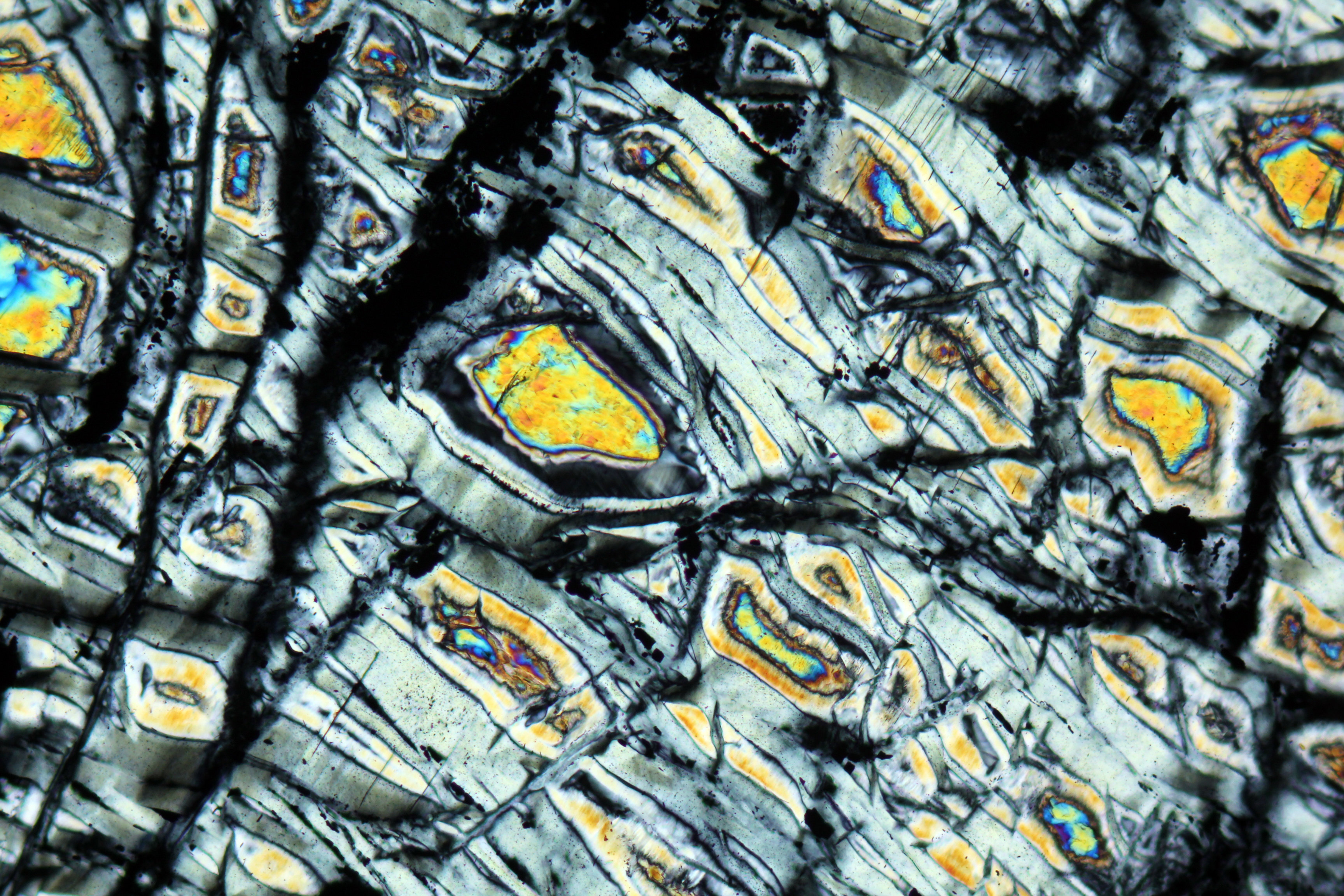 Serpentinized Peridotite