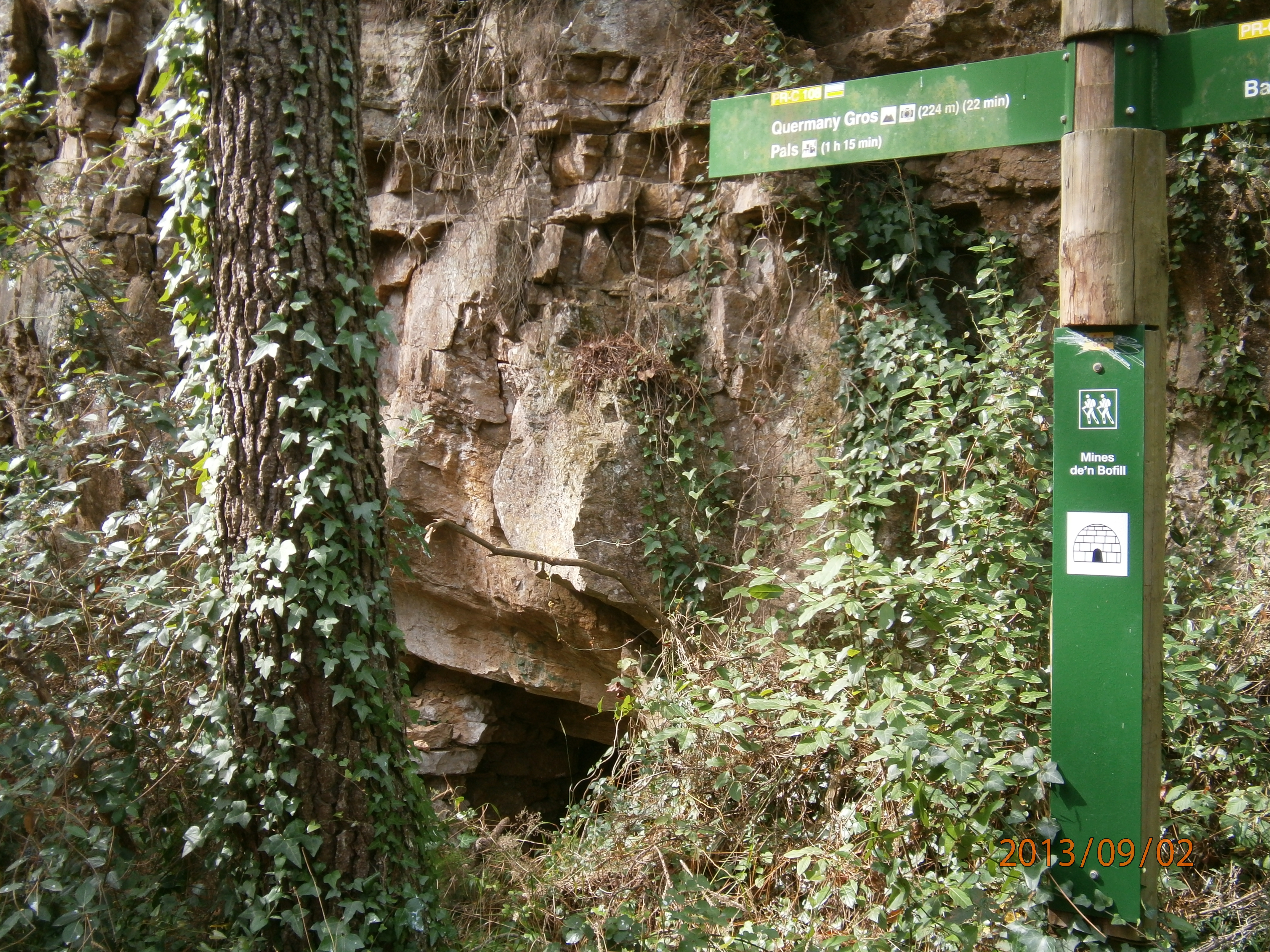 Not a specific mineral, rock, or gemstone