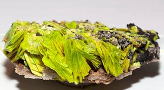 Autunite