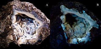 Opal-CT (Lussatite)