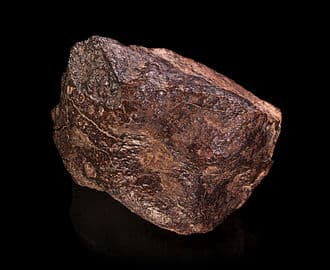 Stony Meteorite