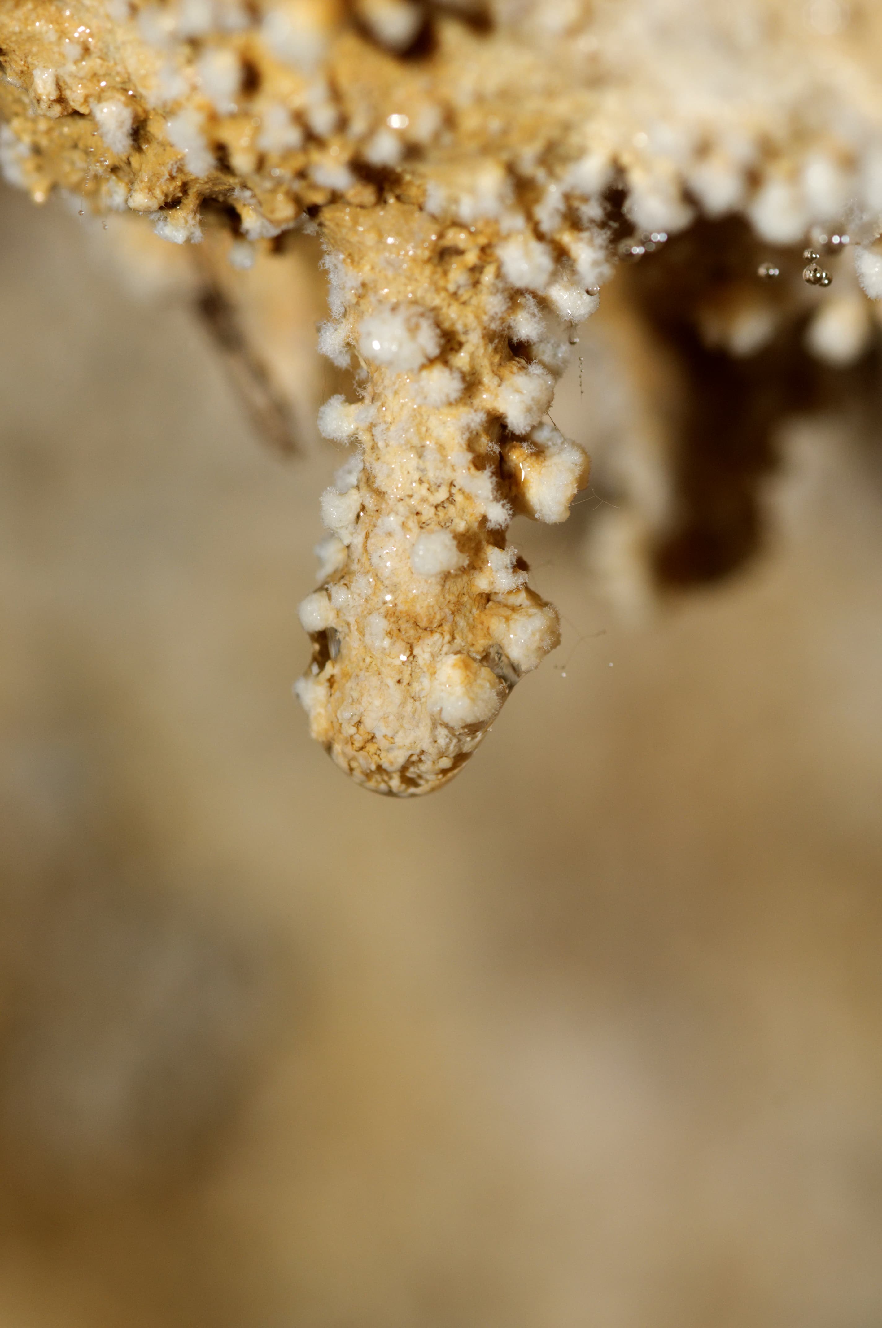 Calcite Speleothem