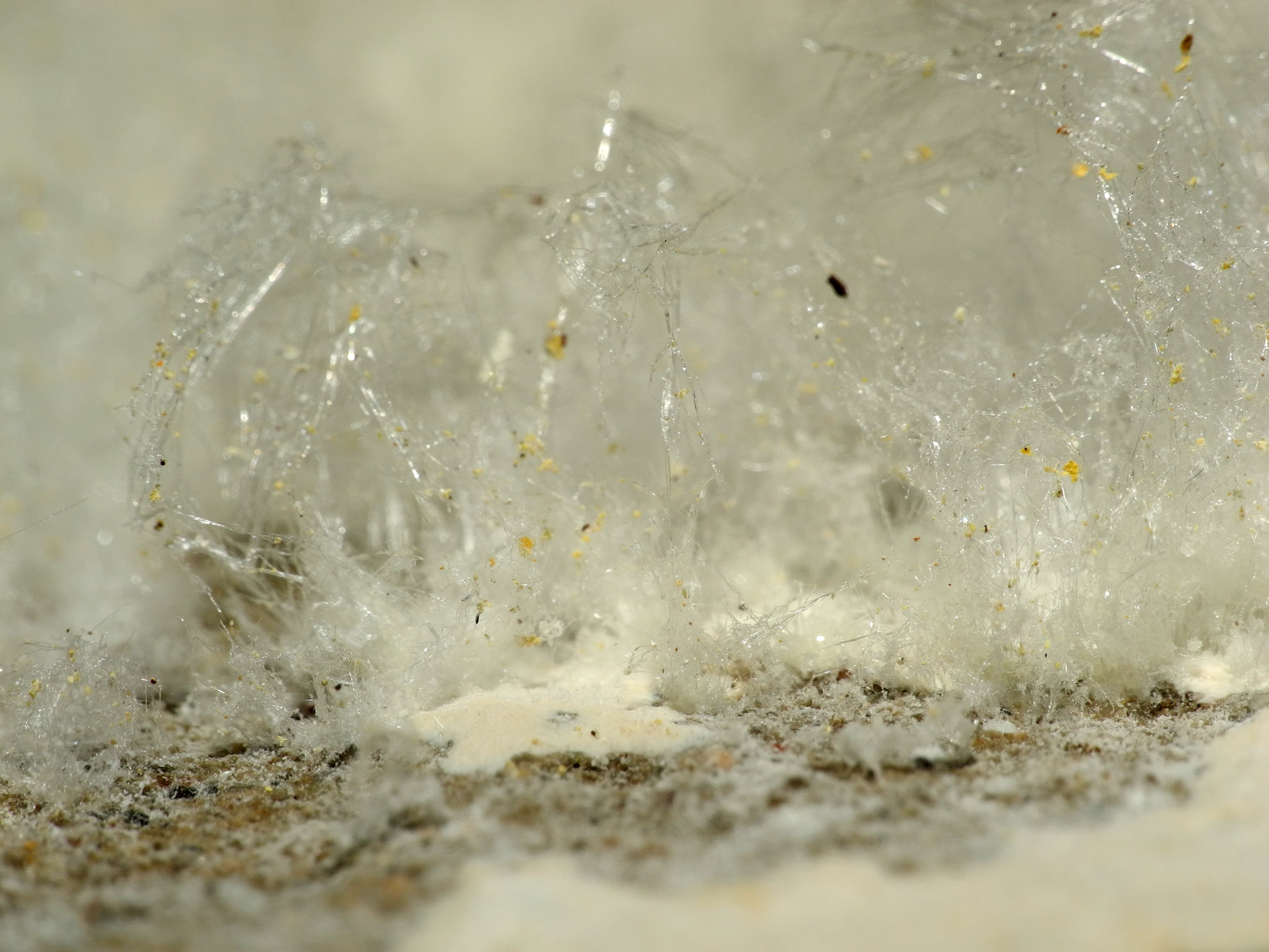Salpetre (Potassium Nitrate)
