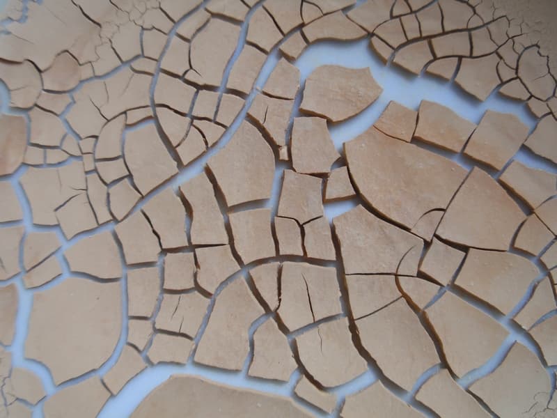 Bentonite clay
