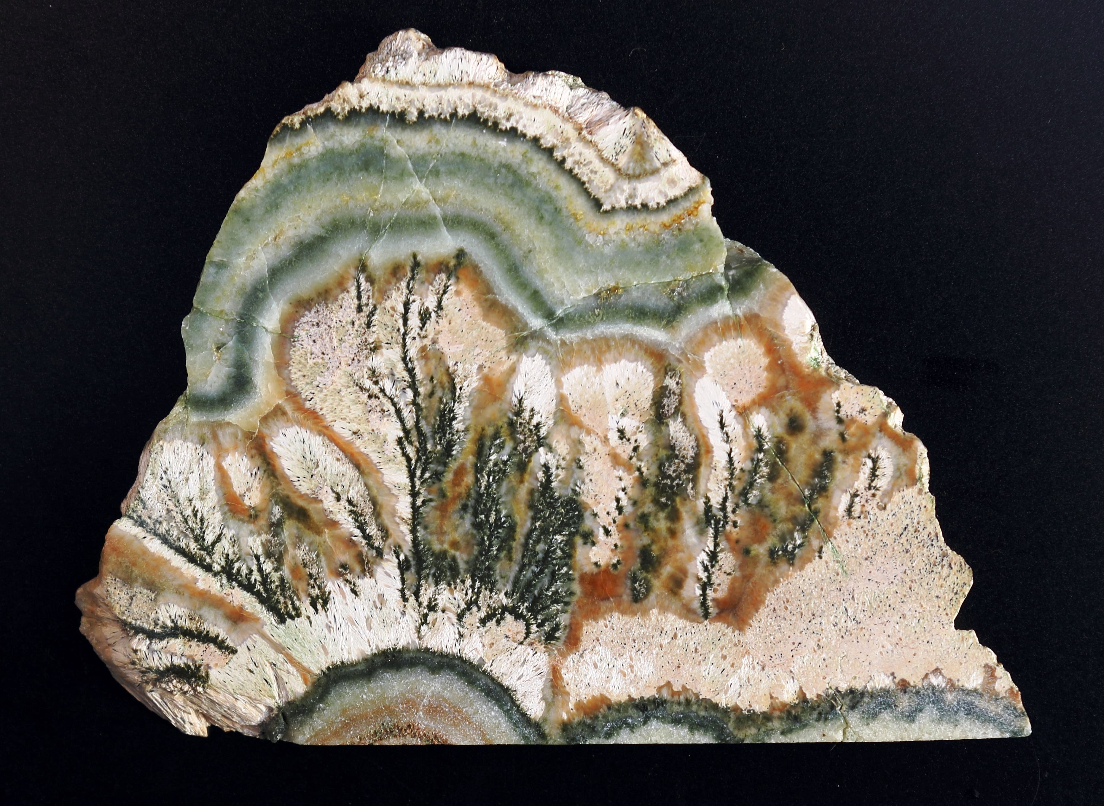 Dendritic Agate