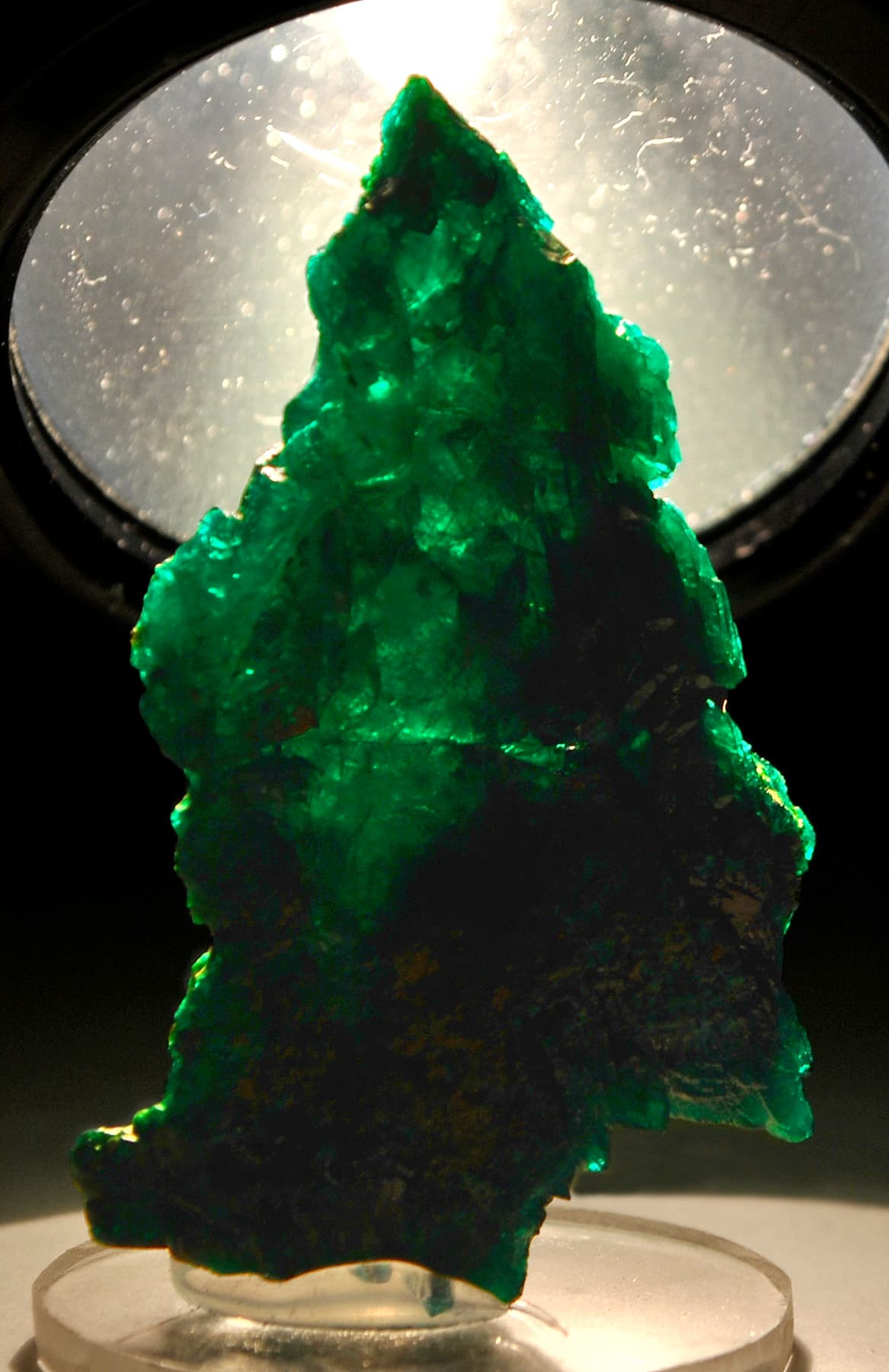 Euchroite