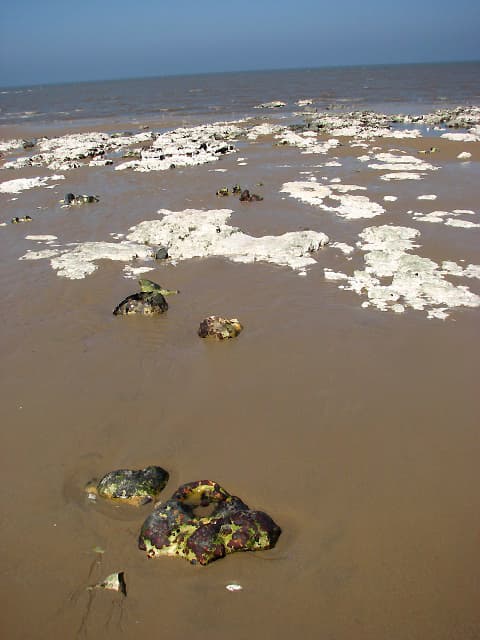 Flint
