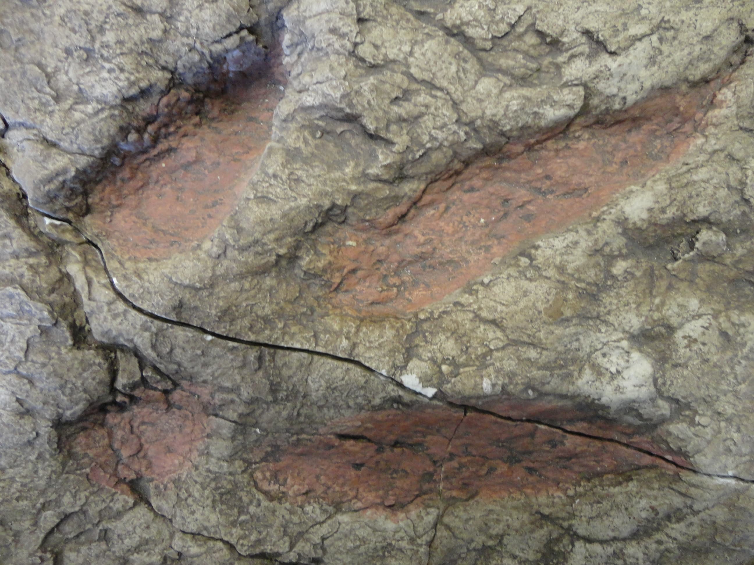 Dinosaur Footprint