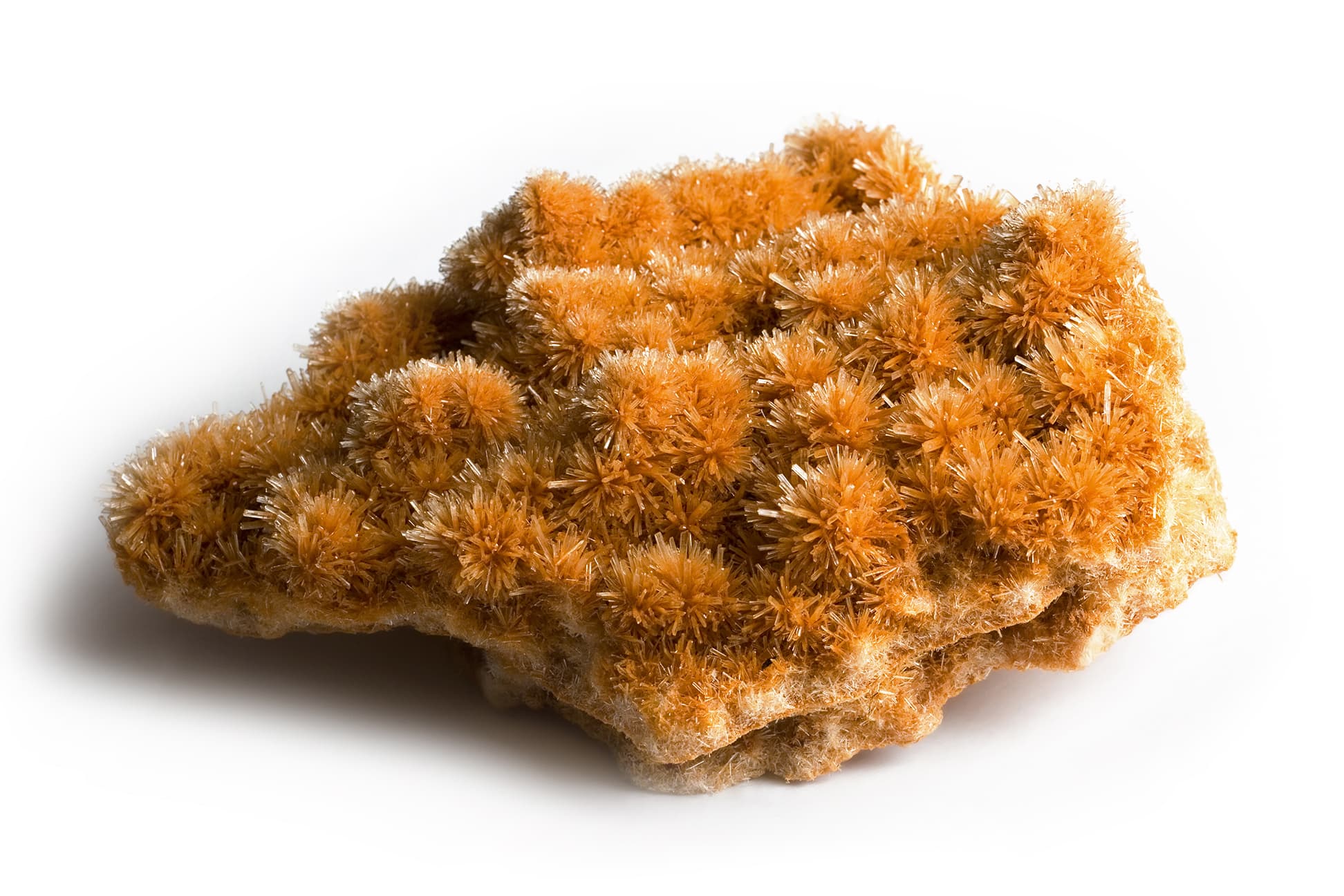 Gypsum var. Selenite