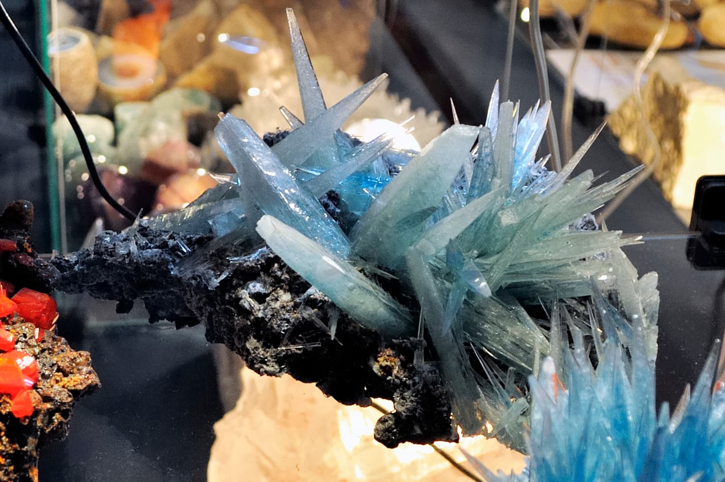 Celestine