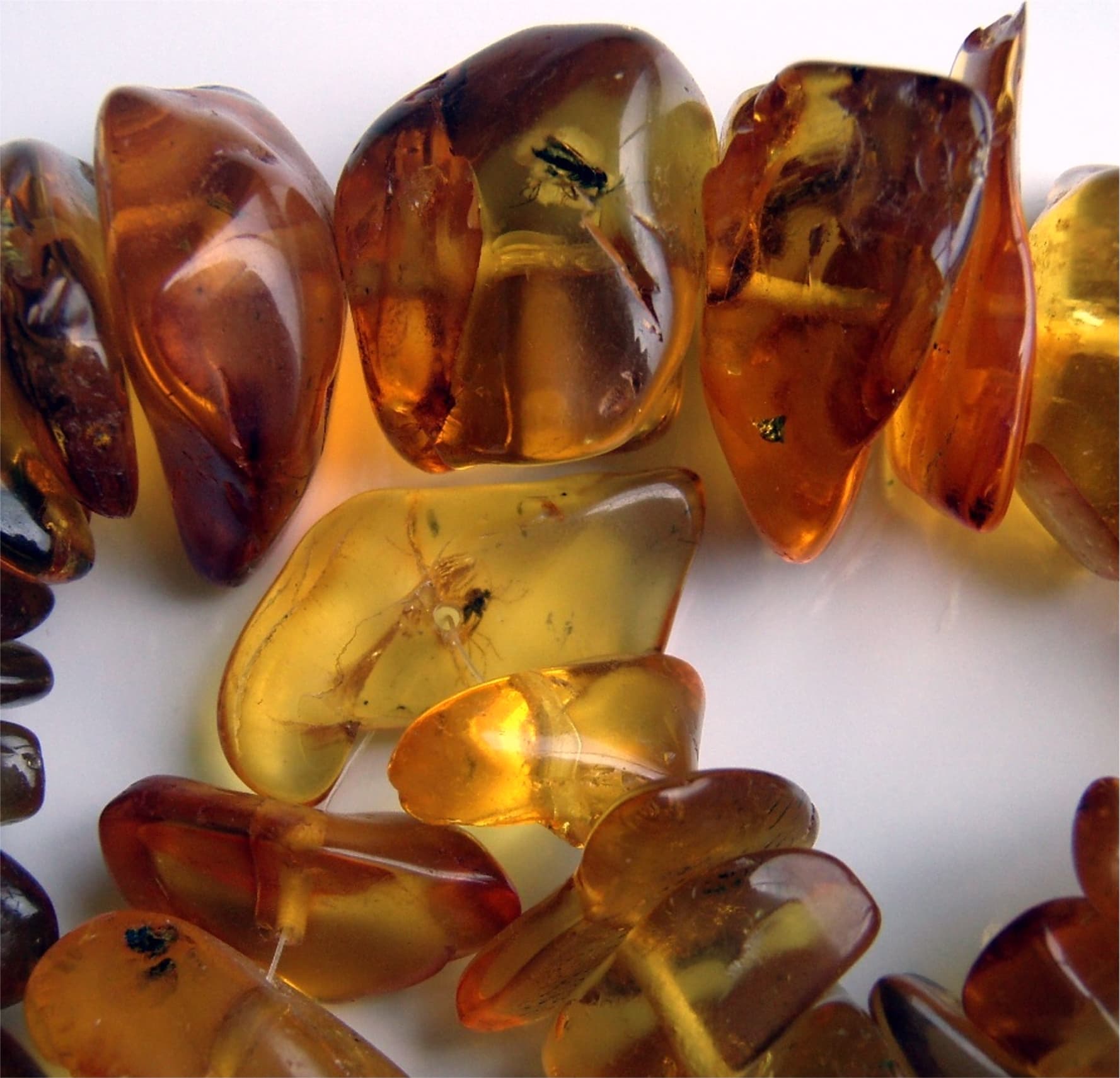 Amber with Insect