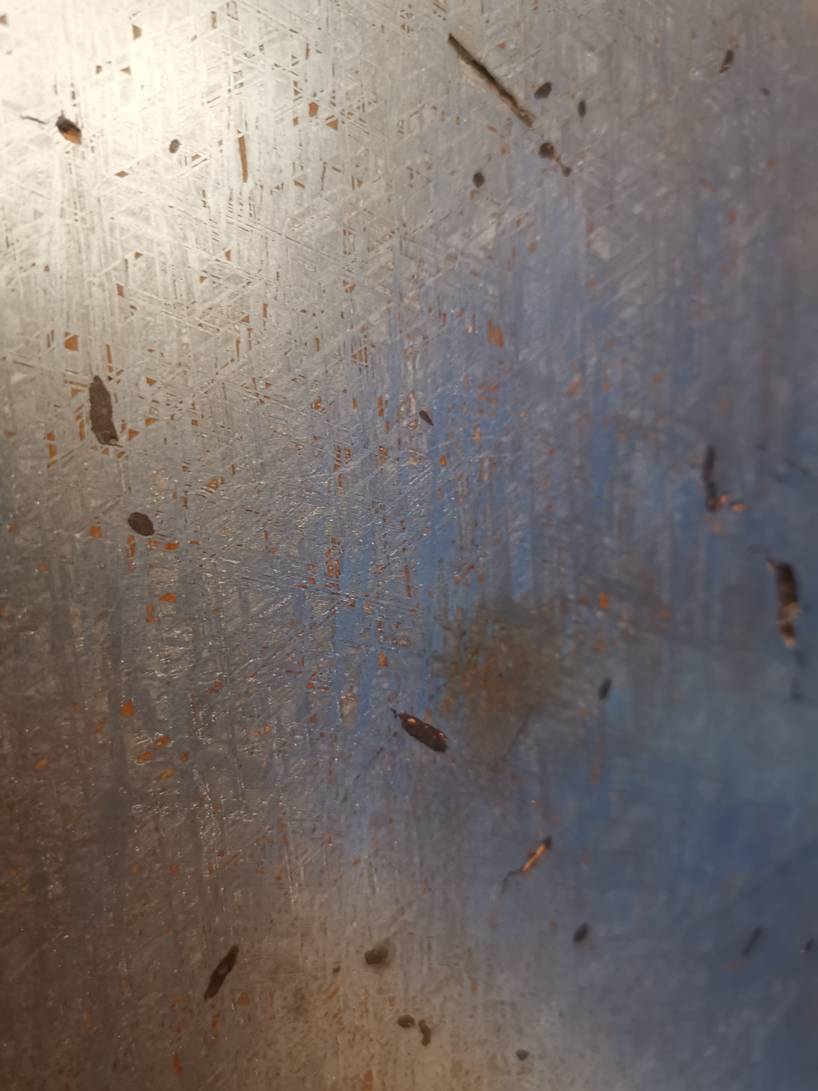 Iron Meteorite